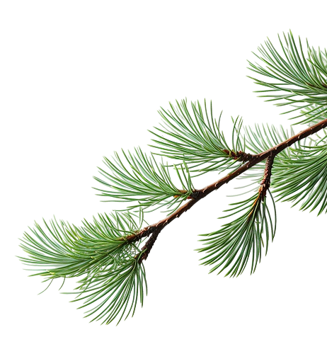 Новий рік – Зображення 33